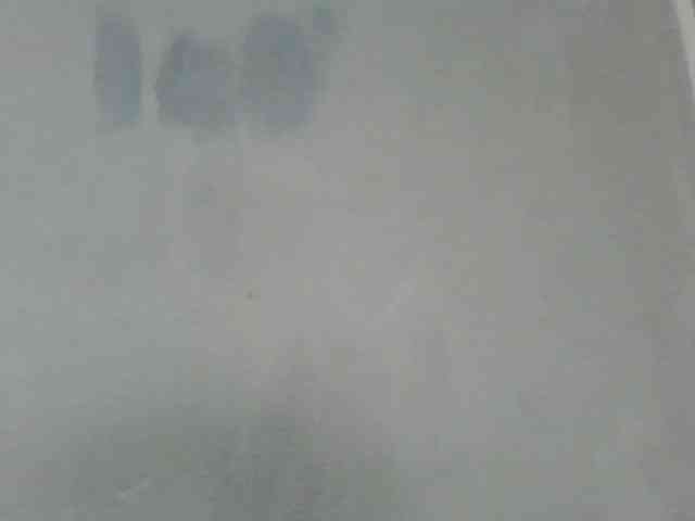 Estela webcam