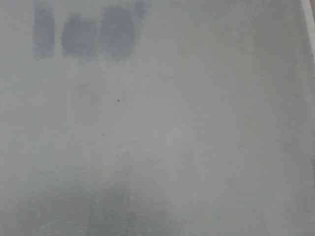 Estela webcam