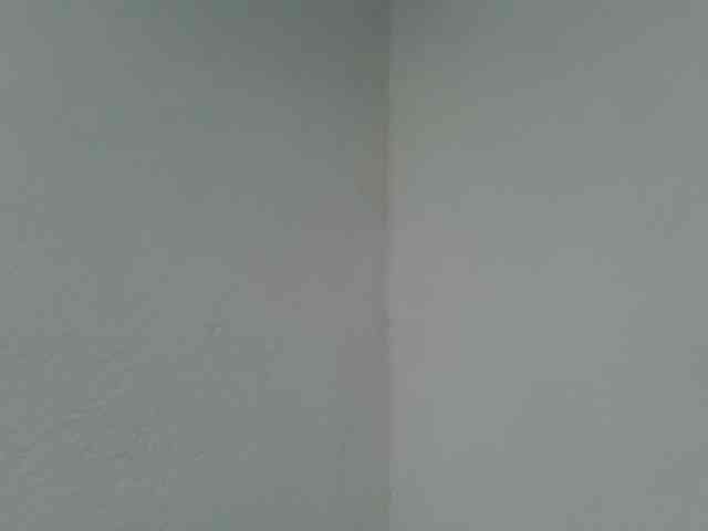 Estela webcam
