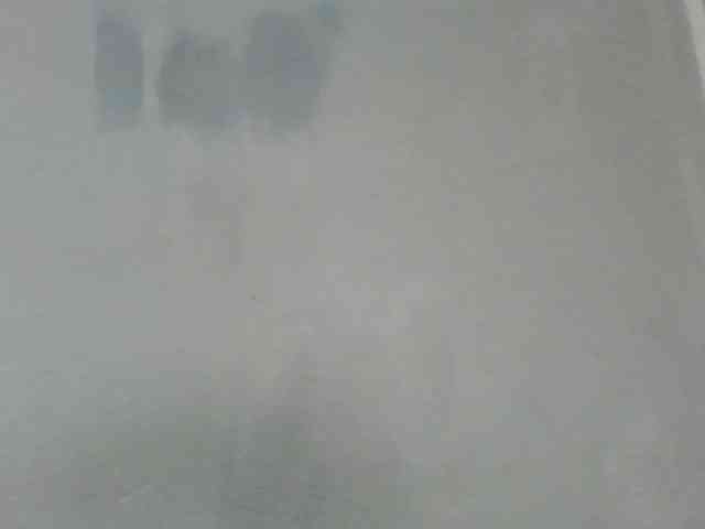 Estela webcam