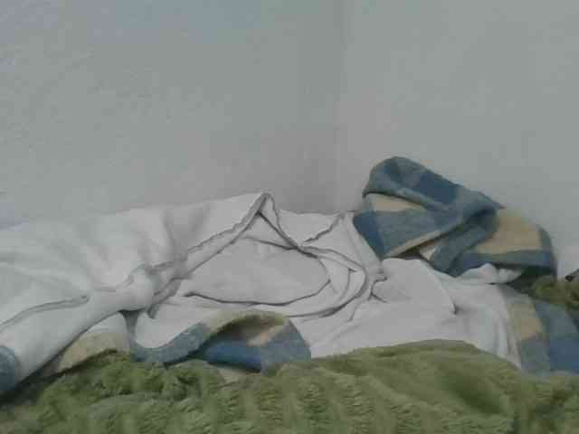 Estela webcam