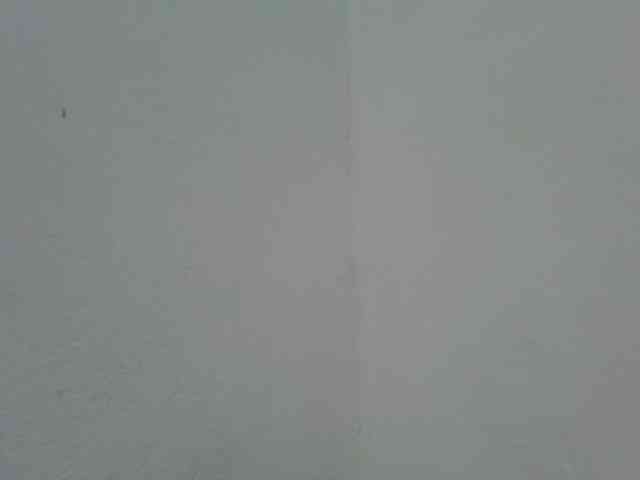 Estela webcam