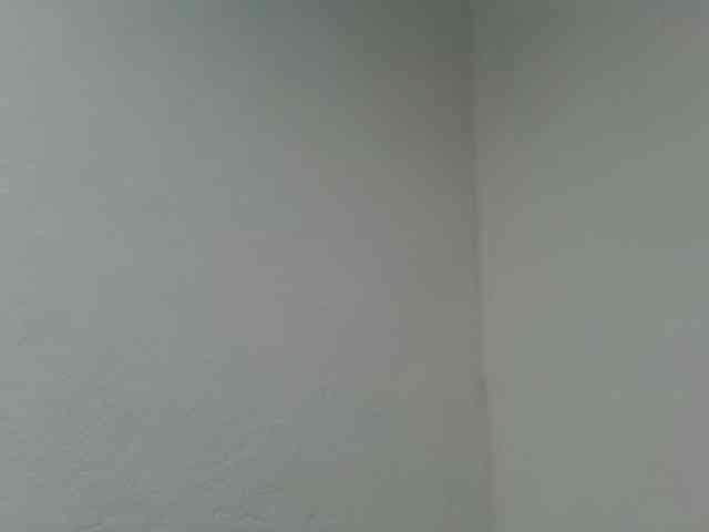 Estela webcam