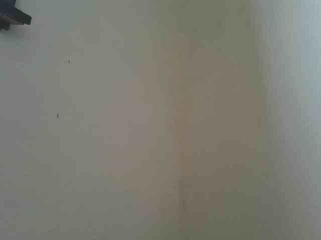 Estela webcam