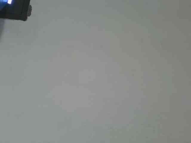 Estela webcam