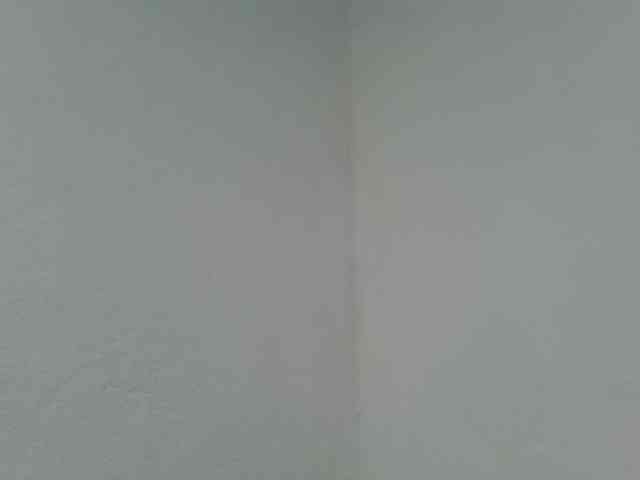 Estela webcam