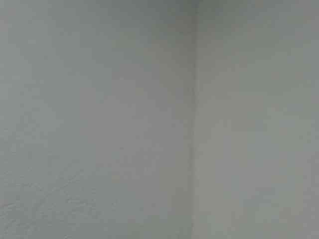 Estela webcam