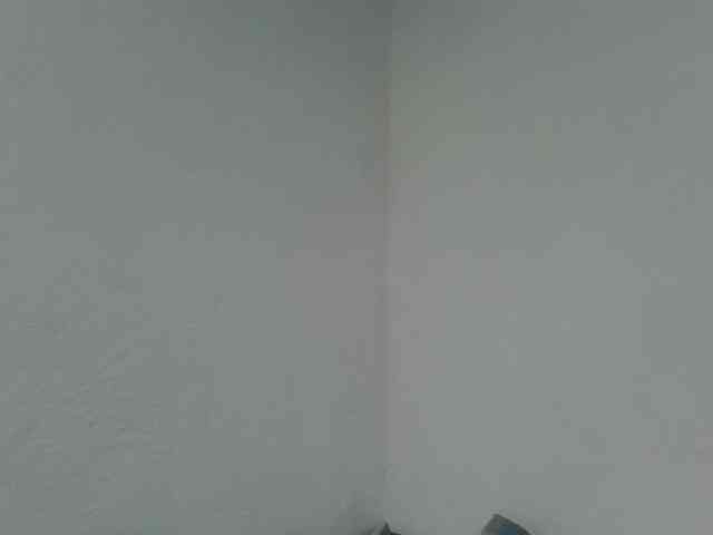 Estela webcam