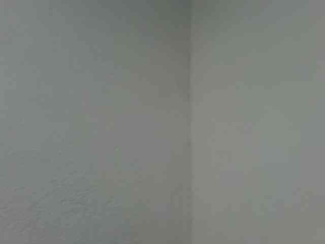 Estela webcam