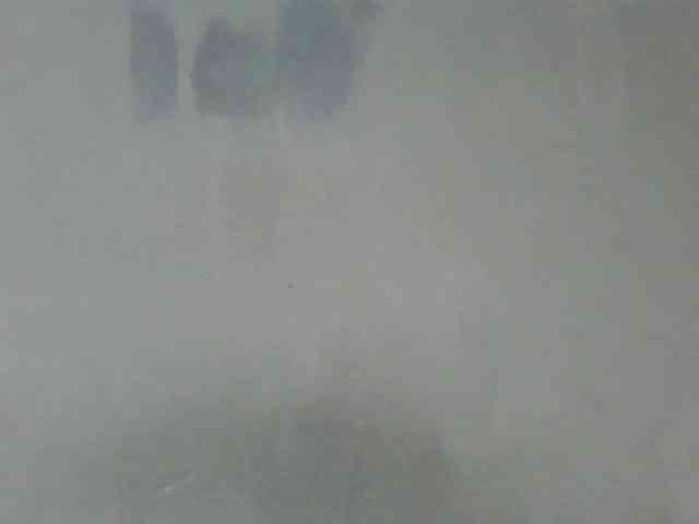 Estela webcam