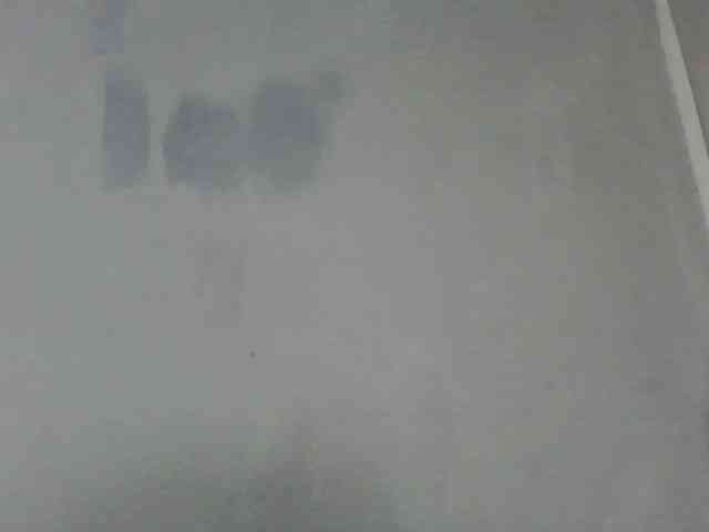 Estela webcam