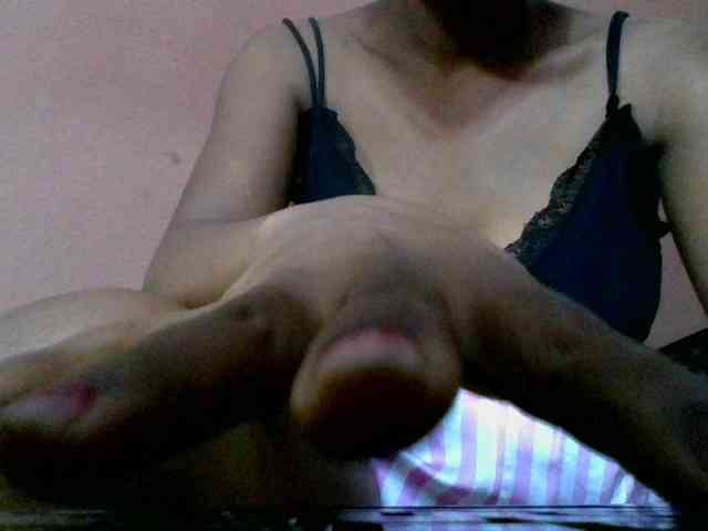 Estela webcam