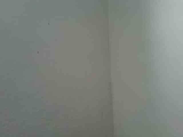 Estela webcam