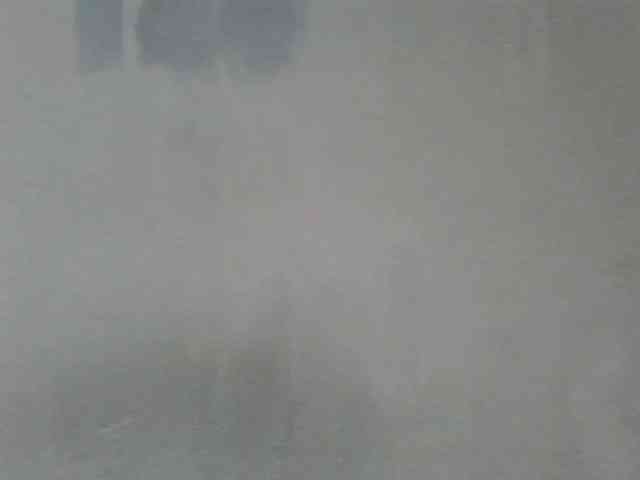 Estela webcam