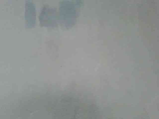 Estela webcam