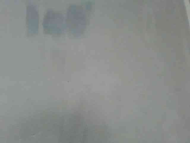 Estela webcam