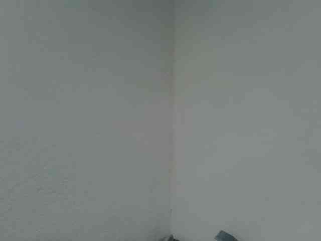 Estela webcam