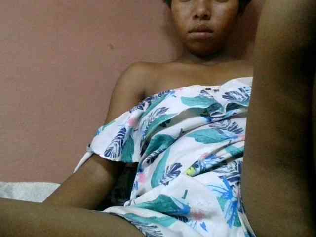 Estela webcam