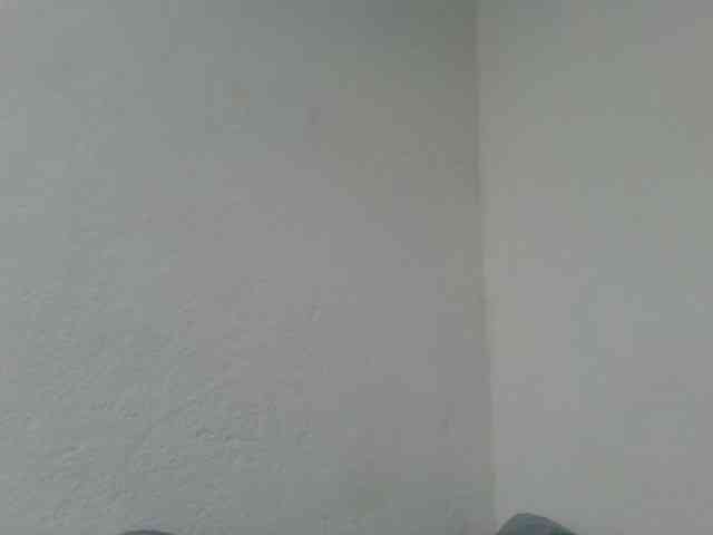 Estela webcam