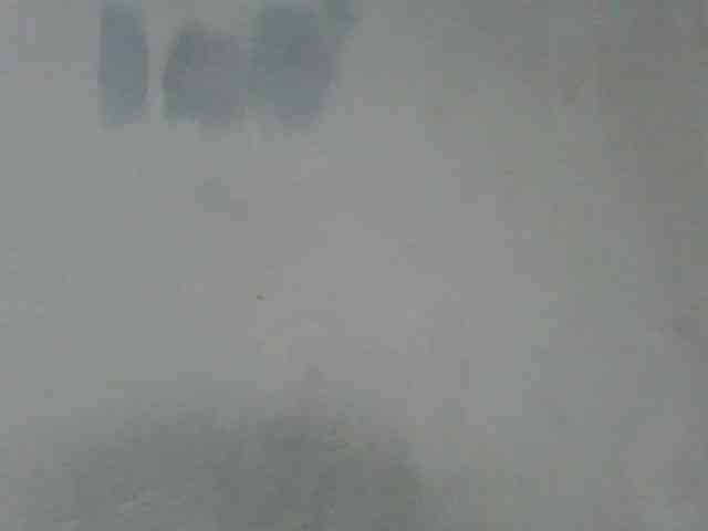Estela webcam