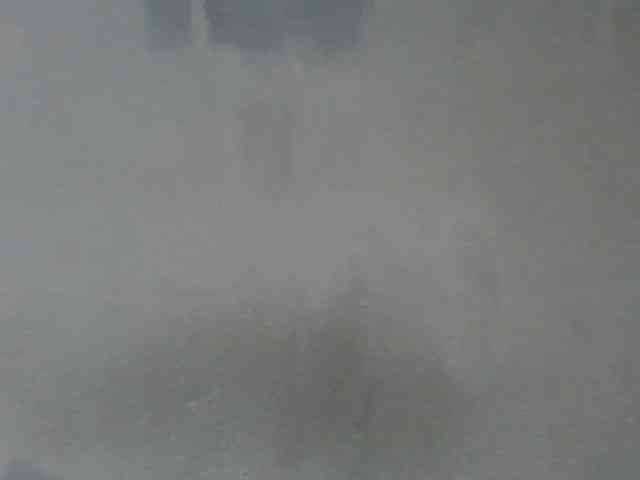 Estela webcam