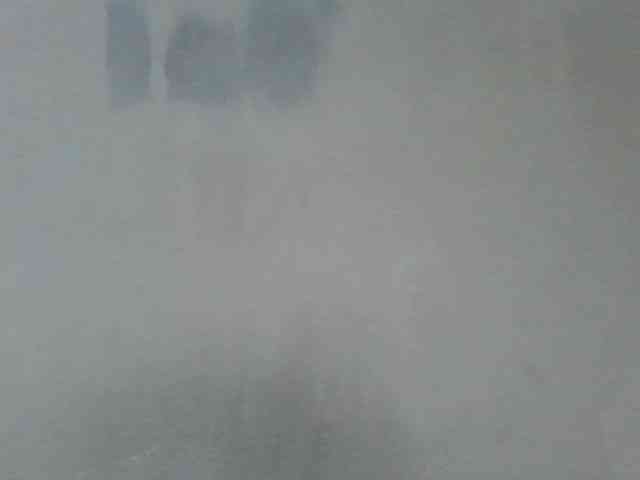Estela webcam