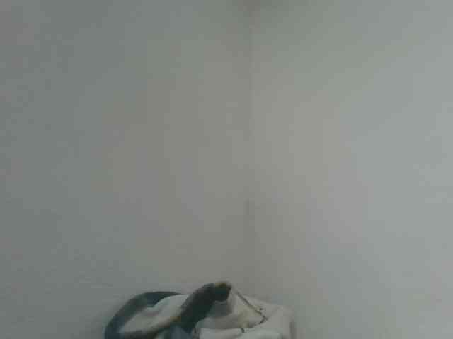 Estela webcam