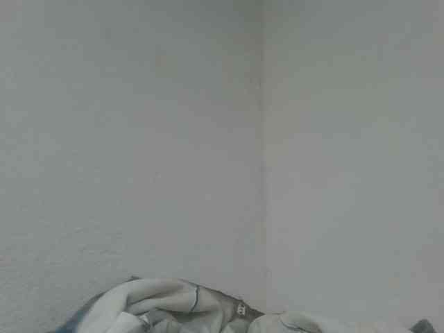 Estela webcam