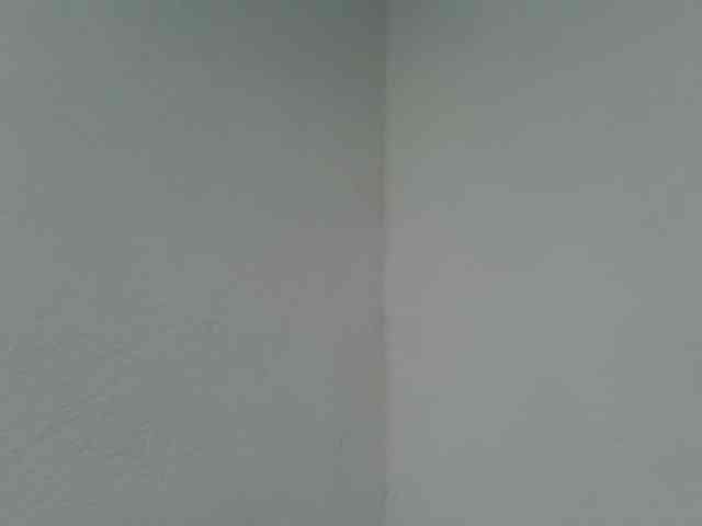 Estela webcam