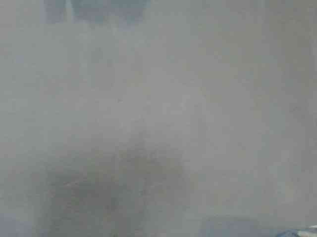 Estela webcam