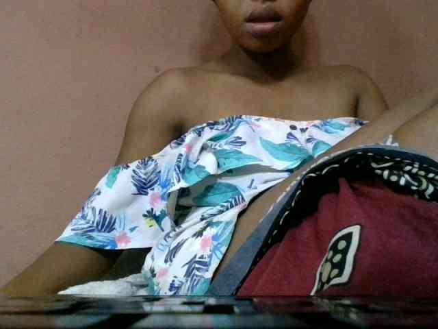 Estela webcam