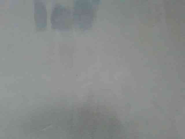 Estela webcam