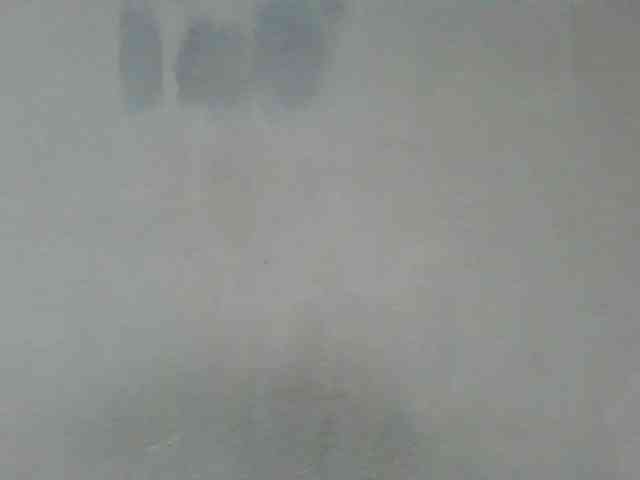Estela webcam