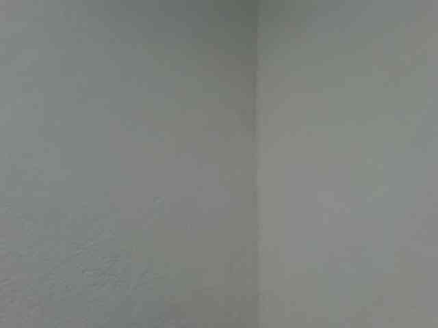 Estela webcam