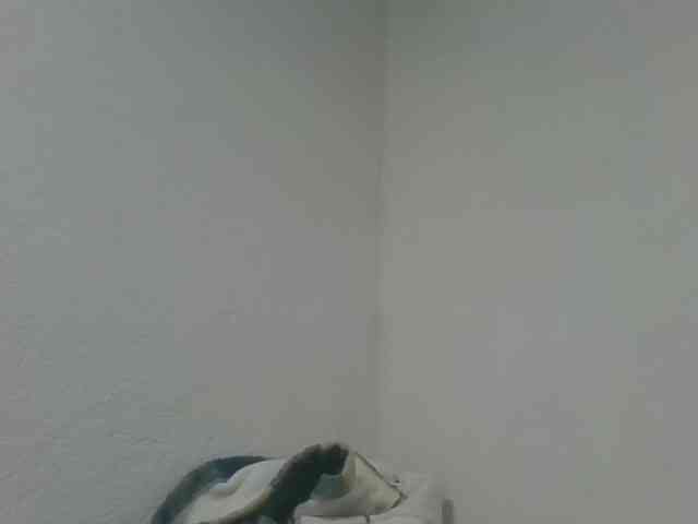 Estela webcam