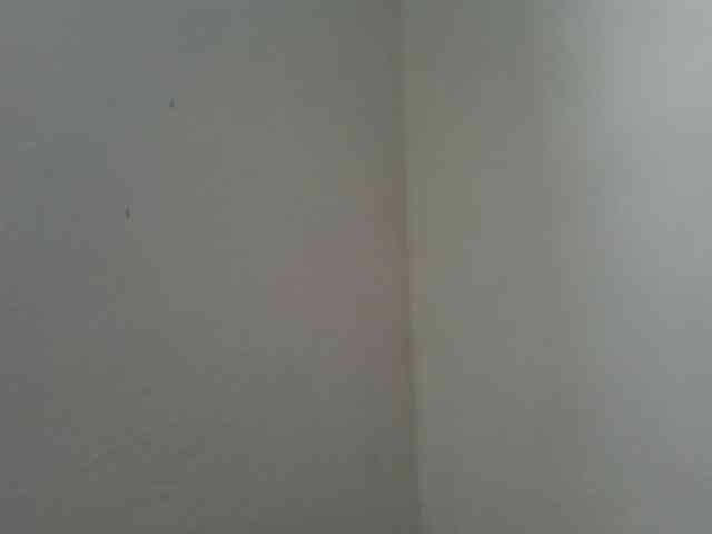 Estela webcam