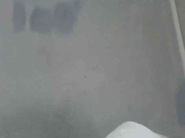 Estela webcam