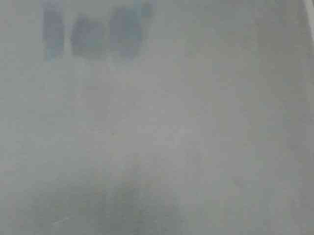 Estela webcam