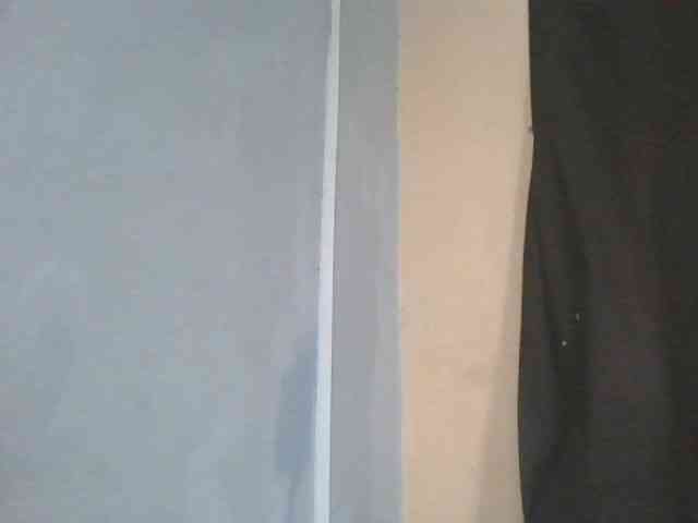 Estela webcam