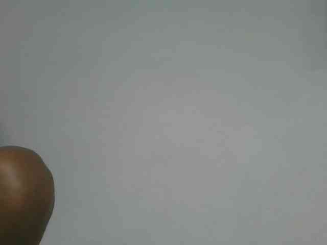 Estela webcam