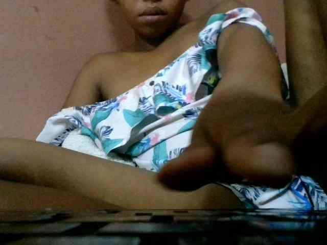 Estela webcam
