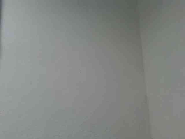 Estela webcam