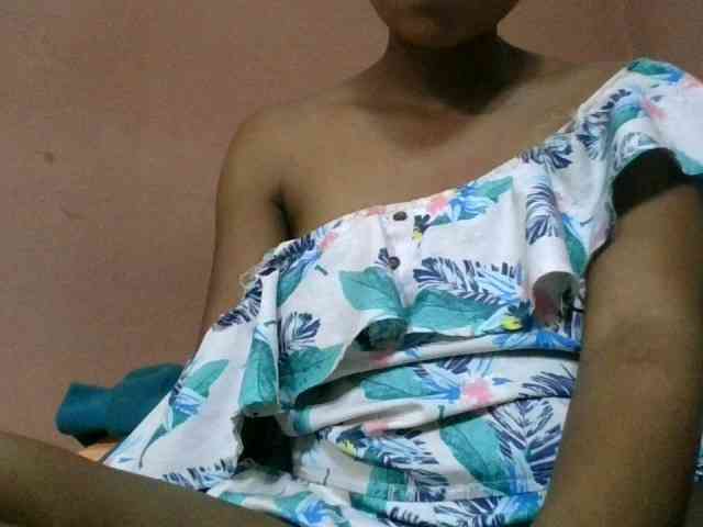 Estela webcam