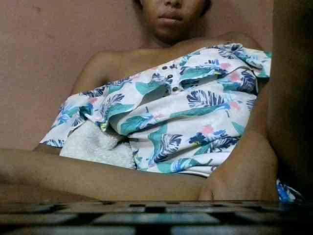 Estela webcam