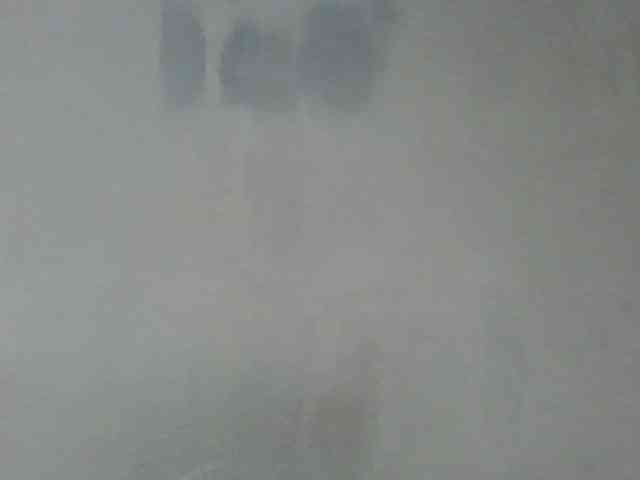 Estela webcam