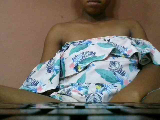 Estela webcam