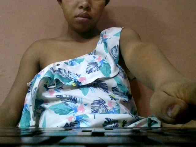 Estela webcam