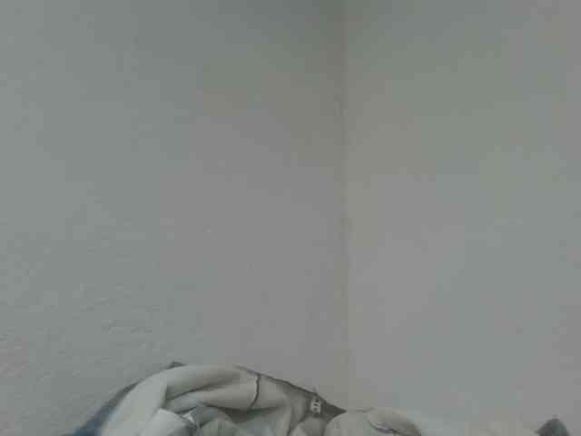 Estela webcam