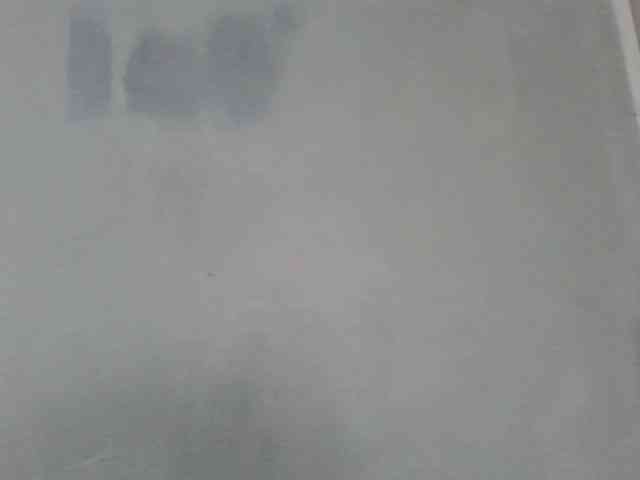 Estela webcam