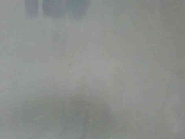 Estela webcam